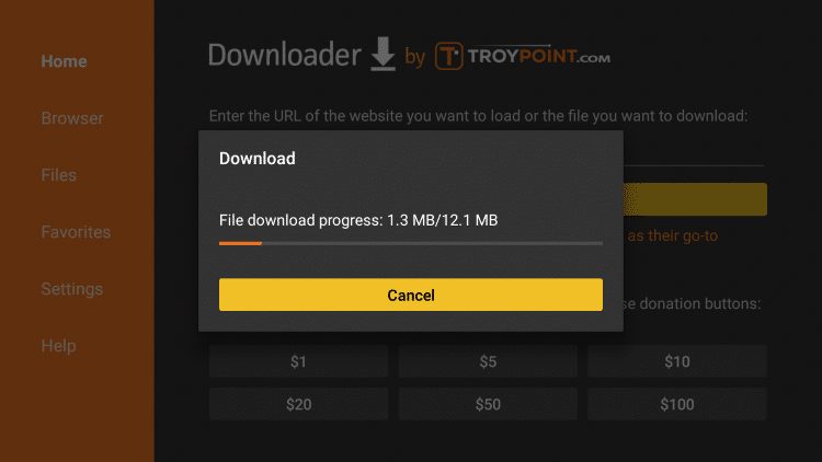 Wait for the file download to finish
