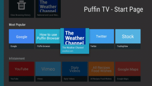 puffin tv ui