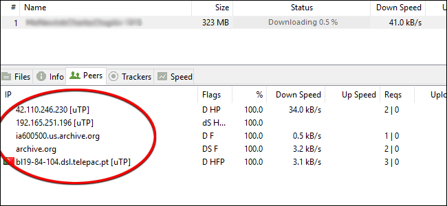 BitTorrent IP Addresses