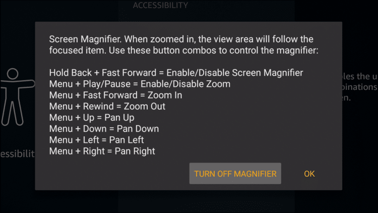 screen magnifier