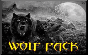 wolfpack kodi