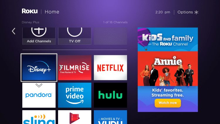 How to Install Disney Plus on Roku - Installation Guide & More - How To Cast Disney Plus To Roku Tv