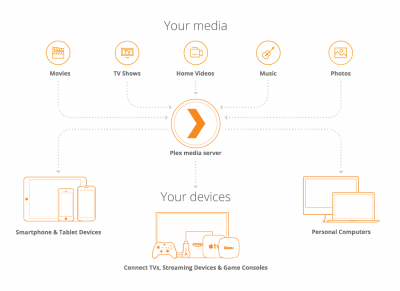 how plex works