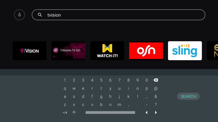 type tvision and click search again