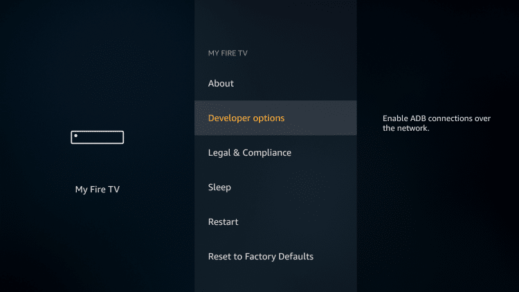 Select Developer Options.