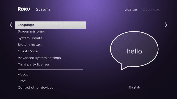 choose language