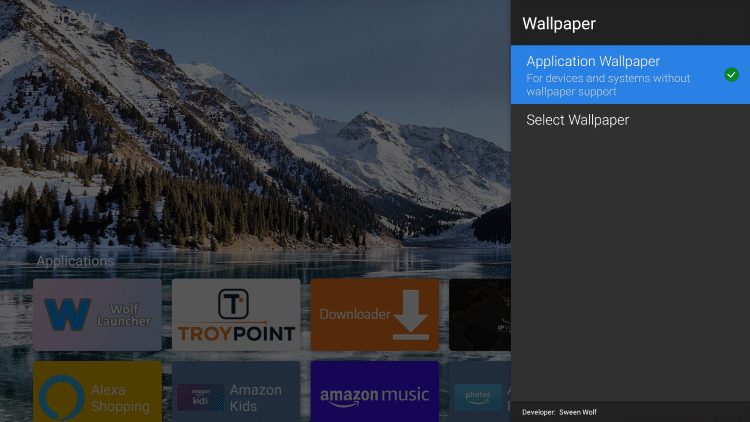 Click Application Wallpaper to check the box.