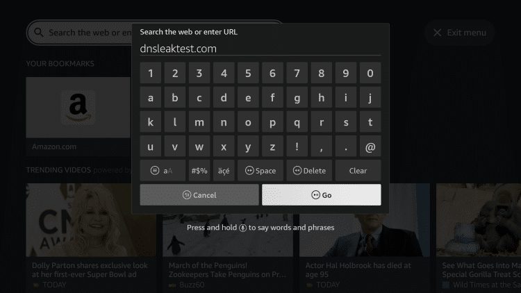  Within the address bar of the browser, type the following address - dnsleaktest.com and click Go.