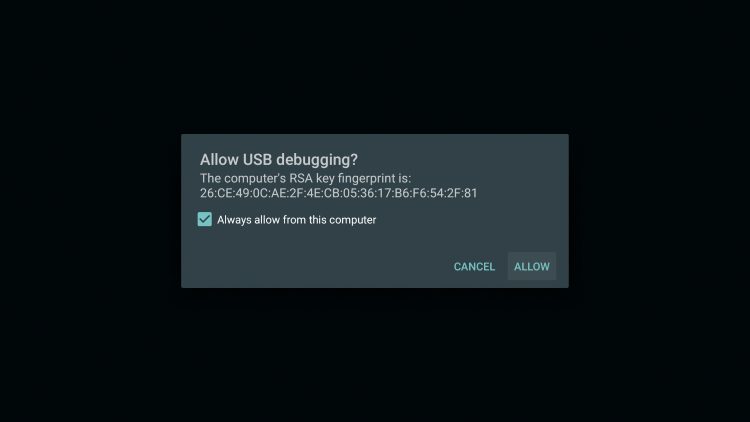Check the box for allowing USB debugging and click Allow.