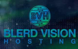 blerd vision hosting