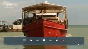 stremium live tv