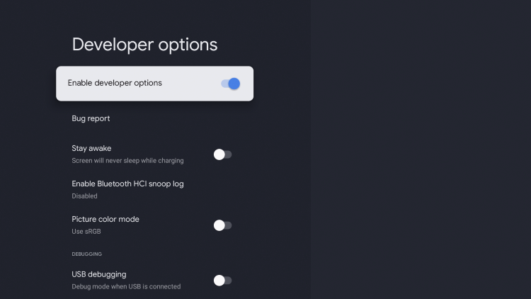 click the toggle to Enable developer options