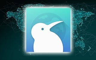 kiwi browser