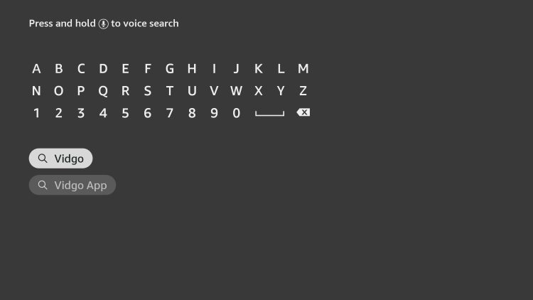 search for vidgo