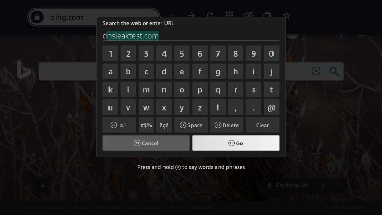 Within the address bar of the browser, type the following address - dnsleaktest.com and click Go
