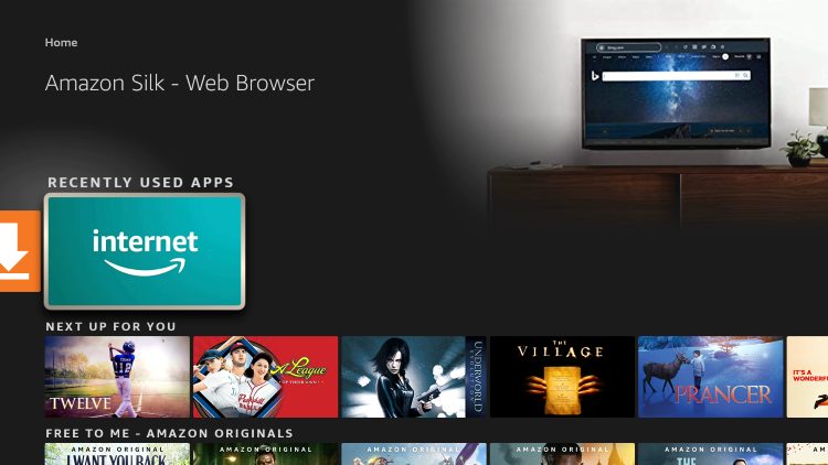 Install the Amazon Silk Browser for free on your Fire TV or Fire TV Stick through the Amazon App Store.