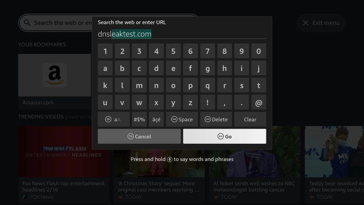 Within the address bar of the browser, type the following address - dnsleaktest.com and click Go