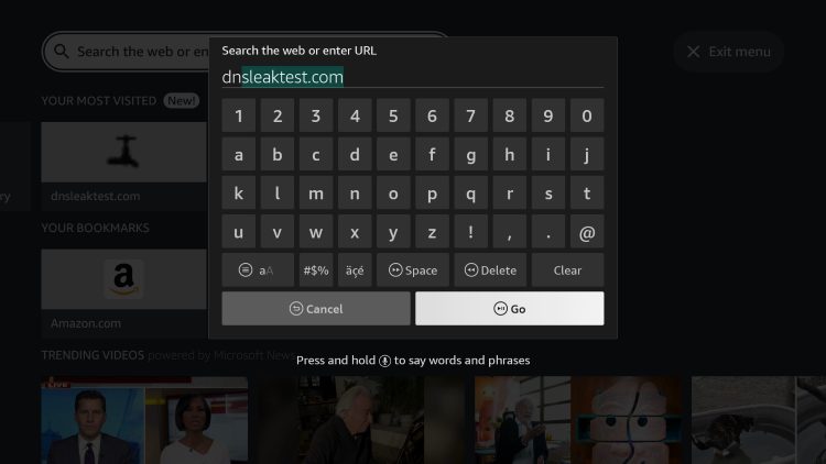 Within the address bar of the browser, type the following address - dnsleaktest.com and click Go