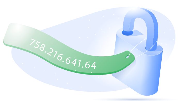 Dedicated IP Address