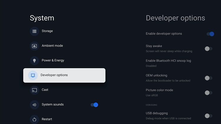 Click Developer Options