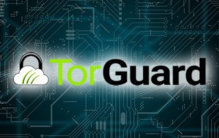 torguard blocks torrent sites