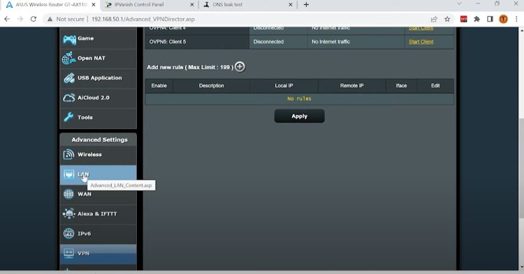 Choose LAN on the left menu.