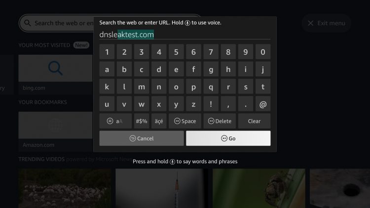 Within the address bar of the browser, type the following address - dnsleaktest.com and click Go