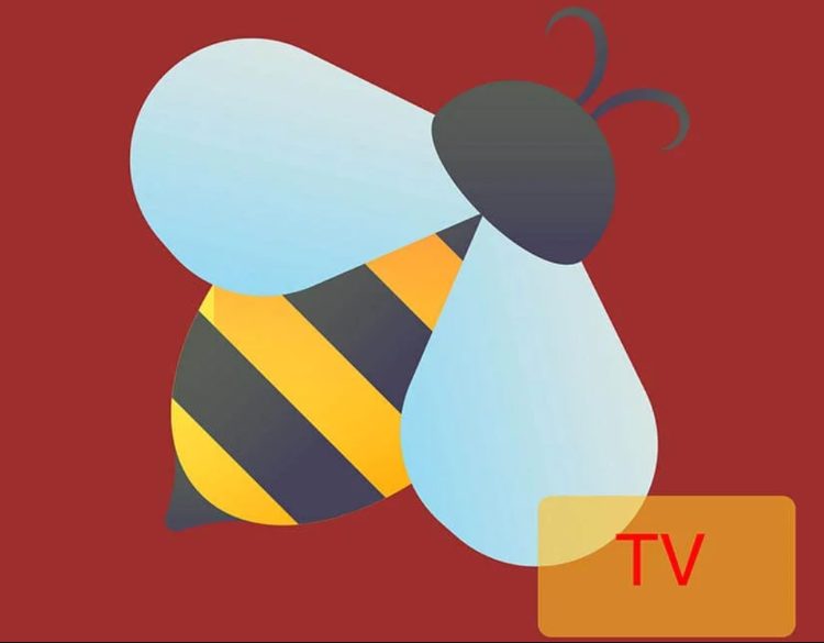 How to Install BeeTV 3.6.6 on Firestick/Android TV (Oct. 2023)