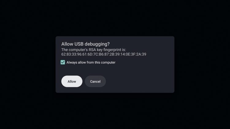 enable usb debugging and click allow for wolf launcher on android tv