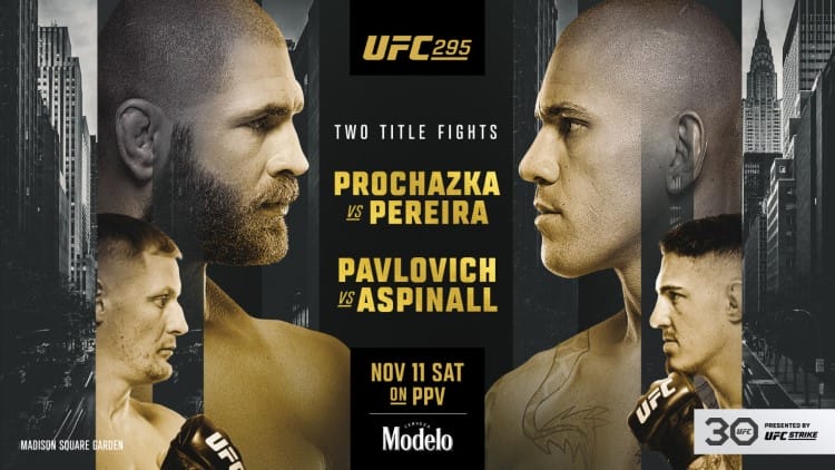 How to Watch UFC 295 on Firestick (Prochazka vs Pereira)