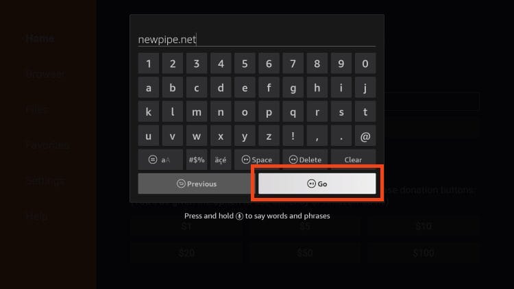 type newpipe.net and click go