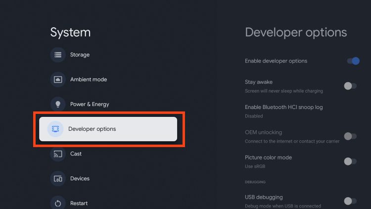 choose developer options
