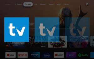 CAN T INSTALL APPS ON GOOGLE TV visual data 8