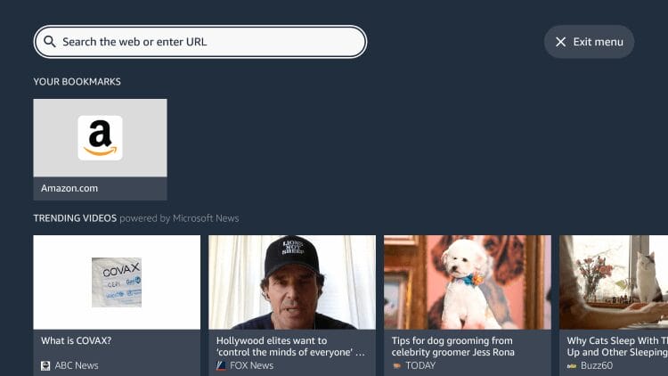 Launch the Silk Browser and click the search box.