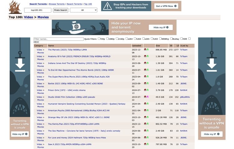 The Pirate Bay Website