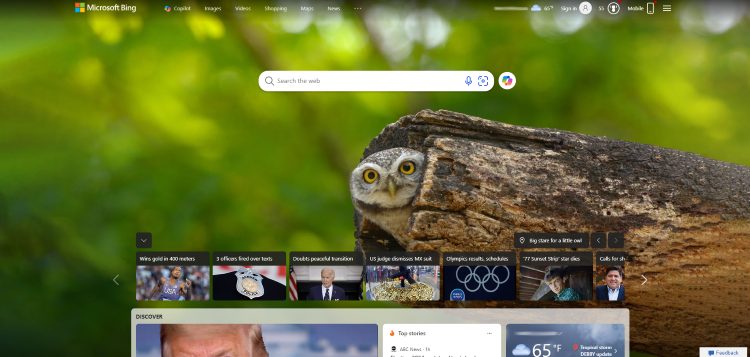 Bing search engine