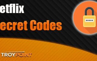 Netflix Secret Codes