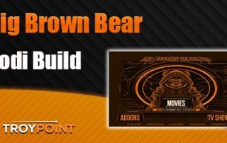 Big Brown Bear Kodi Build