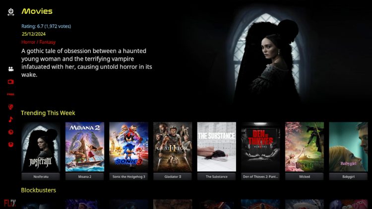 You have successfully installed the Flix build on Kodi.