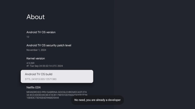 Developer confirmed