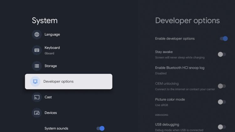 Developer Options enabled