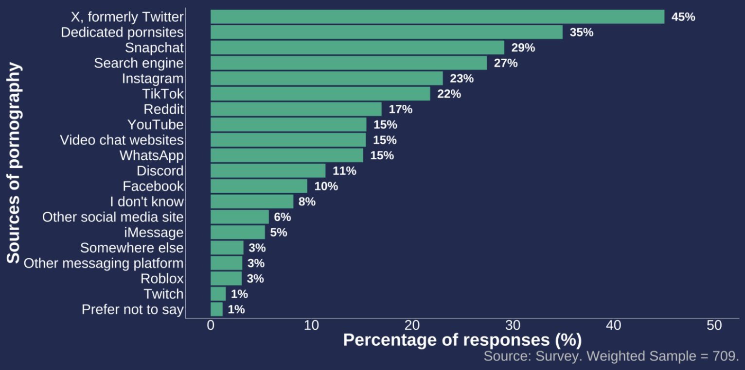 Online platforms where adult content was seen
