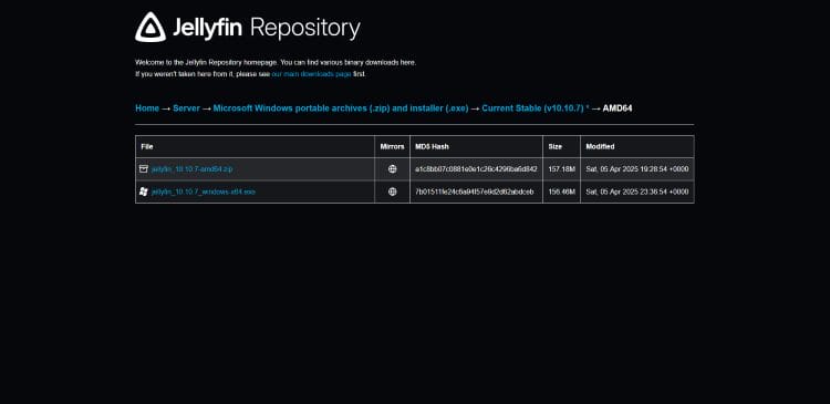 Choose between zip or exe file in repository
