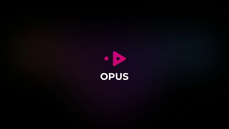 Wait a few seconds for Opus IPTV to load.