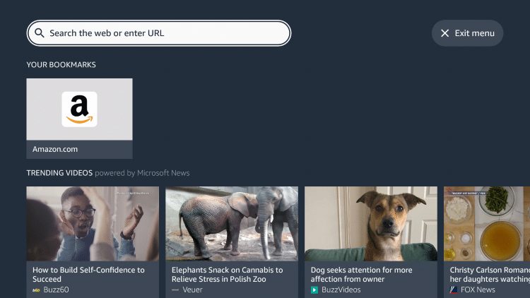Silk Browser on Firestick