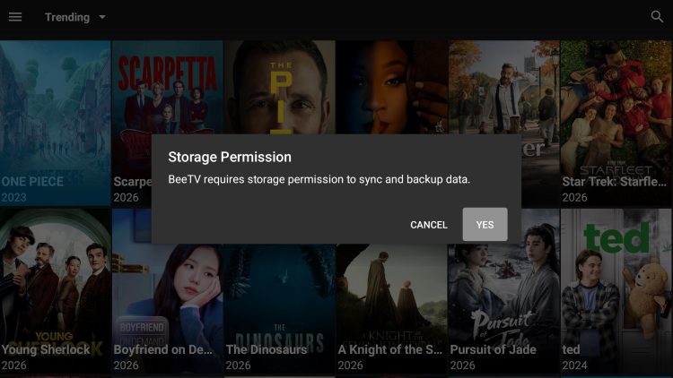 BeeTV Storage Permissions