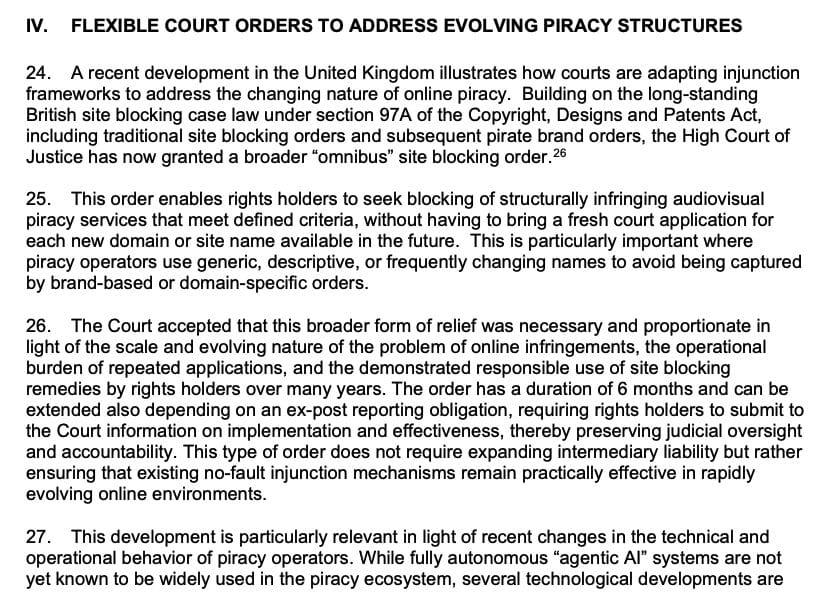 Flexible Court Orders to Address Piracy