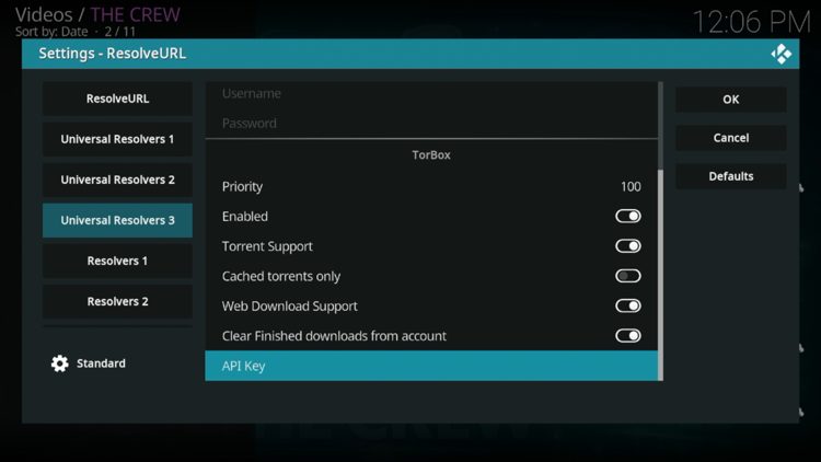 Within the Universal Resolvers 3 menu on the left, scroll down and select API Key under TorBox.