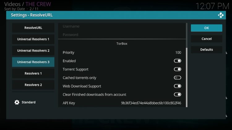 Return back to The Crew, enter your TorBox API Key, and then click OK.