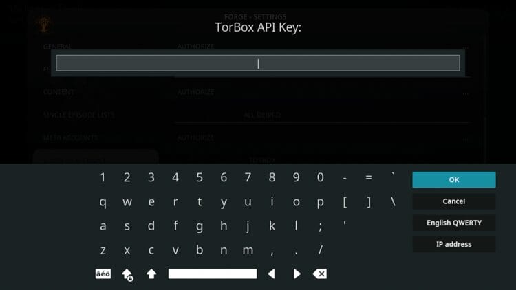 Now you must provide a TorBox API key for authentication.
